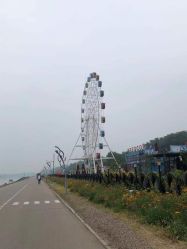 -大美儿童世界(奥林匹克水上公园店)