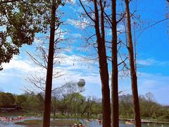 -西溪国家湿地公园