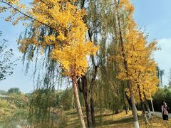 -白鹭湾湿地公园