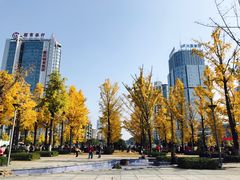 -百林公园-两江幸福广场