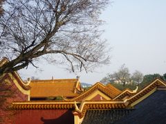 -岳麓山风景名胜区