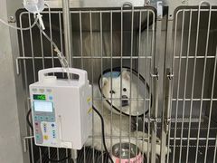 -关爱动物医院·心脏·中兽医·异宠(金牛路分院)