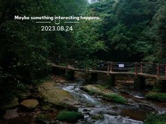 -碧峰峡风景区