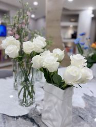 -酉嘉瑜伽YO+YOGA