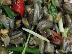 炒薄壳-肥弟大排档(汕樟路店)
