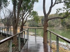 -昆山城市生态森林公园