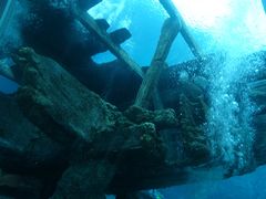 -新加坡海洋生态馆