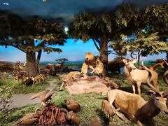 -国家自然博物馆