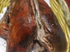 -邵年鸽(杨庄店)