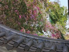 -深圳国际园林花卉博览园