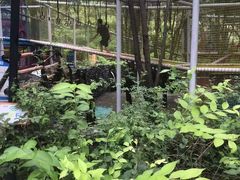 -西部长青自然儿童乐园