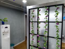 -章光101防脱养发荟