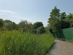 -白塘生态植物园