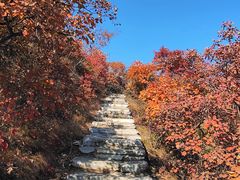 -周口店坡峰岭风景区