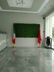 -莱可美科技美肤