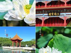 -广州莲花山旅游区
