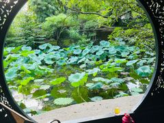 -桂湖森林公园