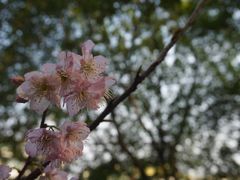 -黄桷坪涂鸦艺术街