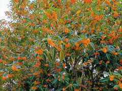 -千岛湖希尔顿休闲艇俱乐部