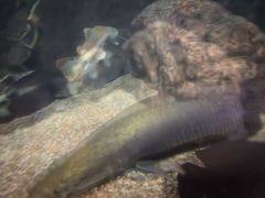 -太平洋海底世界