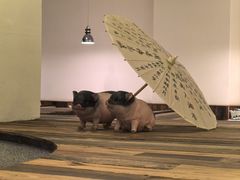 -春家·非遗手工小吃(徐汇万科广场店)