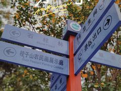 -六合国家地质公园桂子山景区