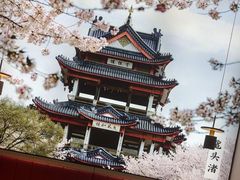 -蜜桃餐厅·伴山(绿宝广场店)