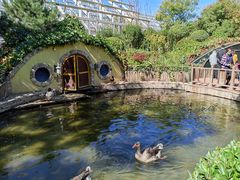 -南宫五洲植物乐园