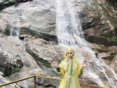 -青峰峡国家森林公园