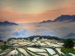 -中国湿地博物馆