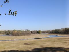 -北京麋鹿生态实验中心