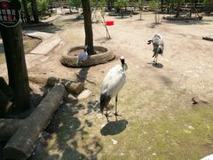 -哈尔滨北方森林动物园
