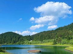 -武陵山森林公园