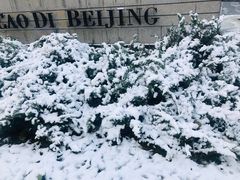 -半山腰·云南菜(侨福芳草地店)
