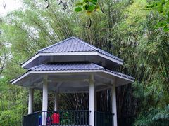 -晓港公园