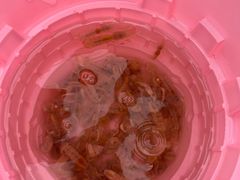 -金梦海湾浴场