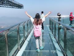 -梦幻奥陶纪景区