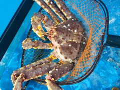 -盒马鲜生(大行宫店)