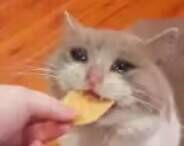 -山东大学(兴隆山校区)