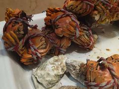 -漢咖啡·全服务式自助晚餐(武汉洲际酒店)