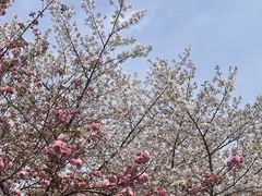 -苏州上方山国家森林公园
