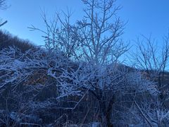 -云岫谷游猎自然风景区