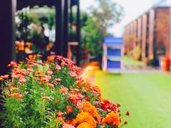-冰冰龙虾·江湖菜·花园江景餐厅