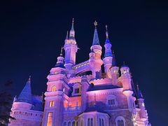 -上海迪士尼度假区