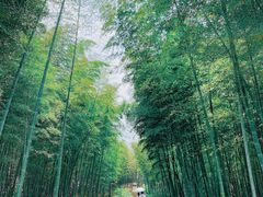 -良渚古城遗址公园
