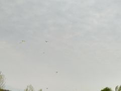 -洨河生态公园