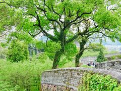-台州府城(江南长城)