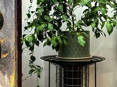 -点绛唇(鼓楼店)