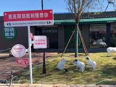 -阳坊胜利涮羊肉(阳坊老店)