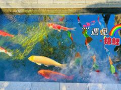 -西安市广仁寺